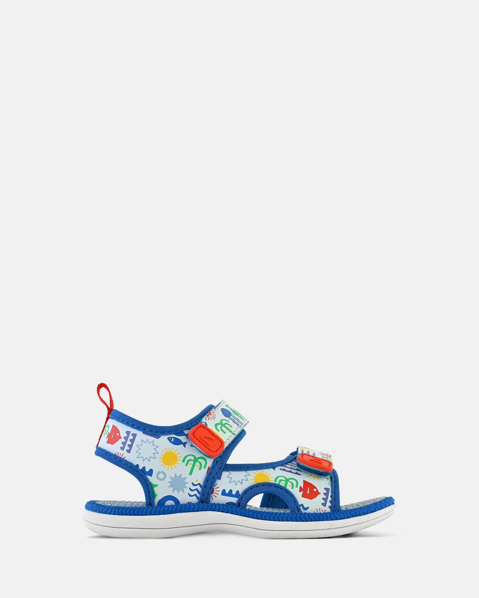 Fisher Blue/Red Seas
